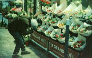 GT Photo GT24 : mon essai en plein hiver et mon avis sur cette pellicule