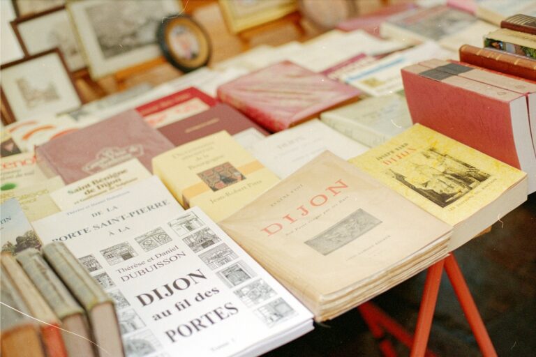 Pourquoi la Fujifilm 400 est parfaite pour les lumières d’hiver ?